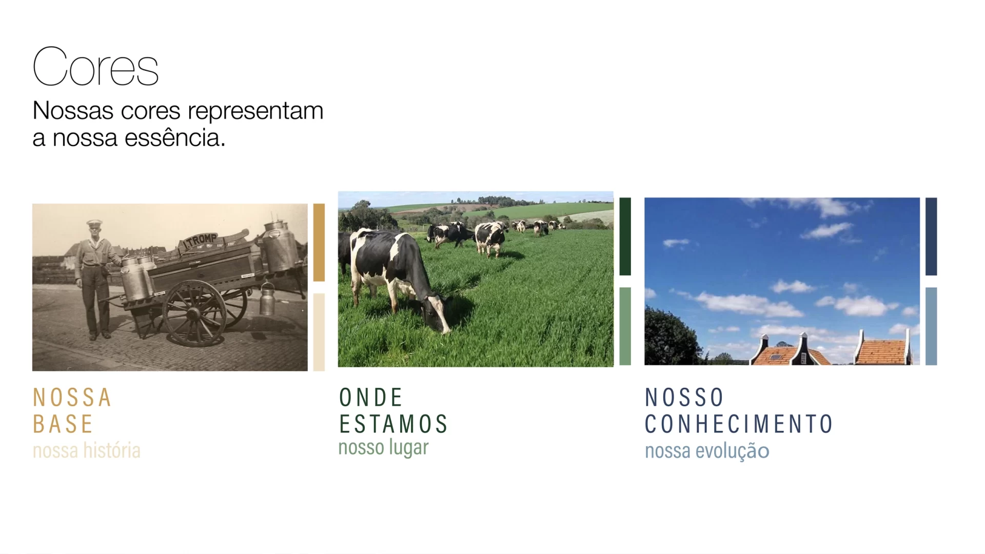 Cores - Masters do Leite - Vers Branding