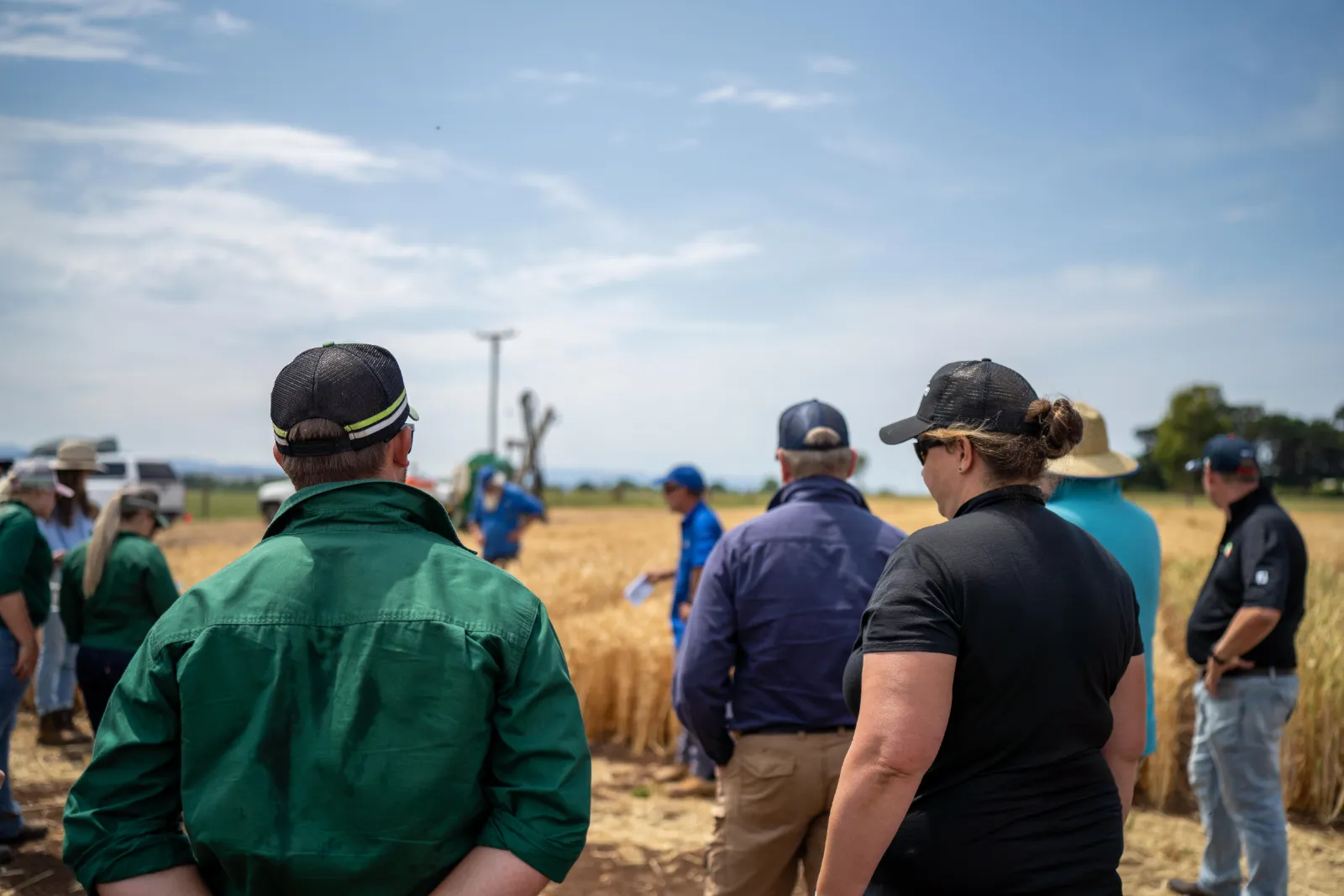 Grupo de produtores reunidos em dia de campo na lavoura